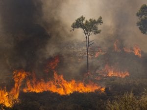 Grecia in fiamme: il più vasto incendio mai visto in Europa mette in ginocchio il paese e suscita preoccupazione