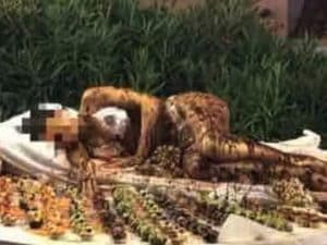 Scandalo a Golfo Aranci: donna ricoperta di cioccolato sul tavolo del buffet hotel provoca indignazione
