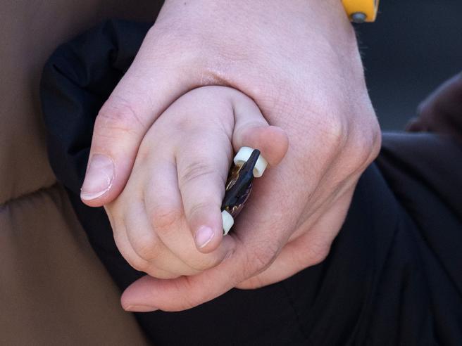 La Corte Europea accoglie ricorso Italia: riconoscimento legale per bambini nati da maternità surrogata